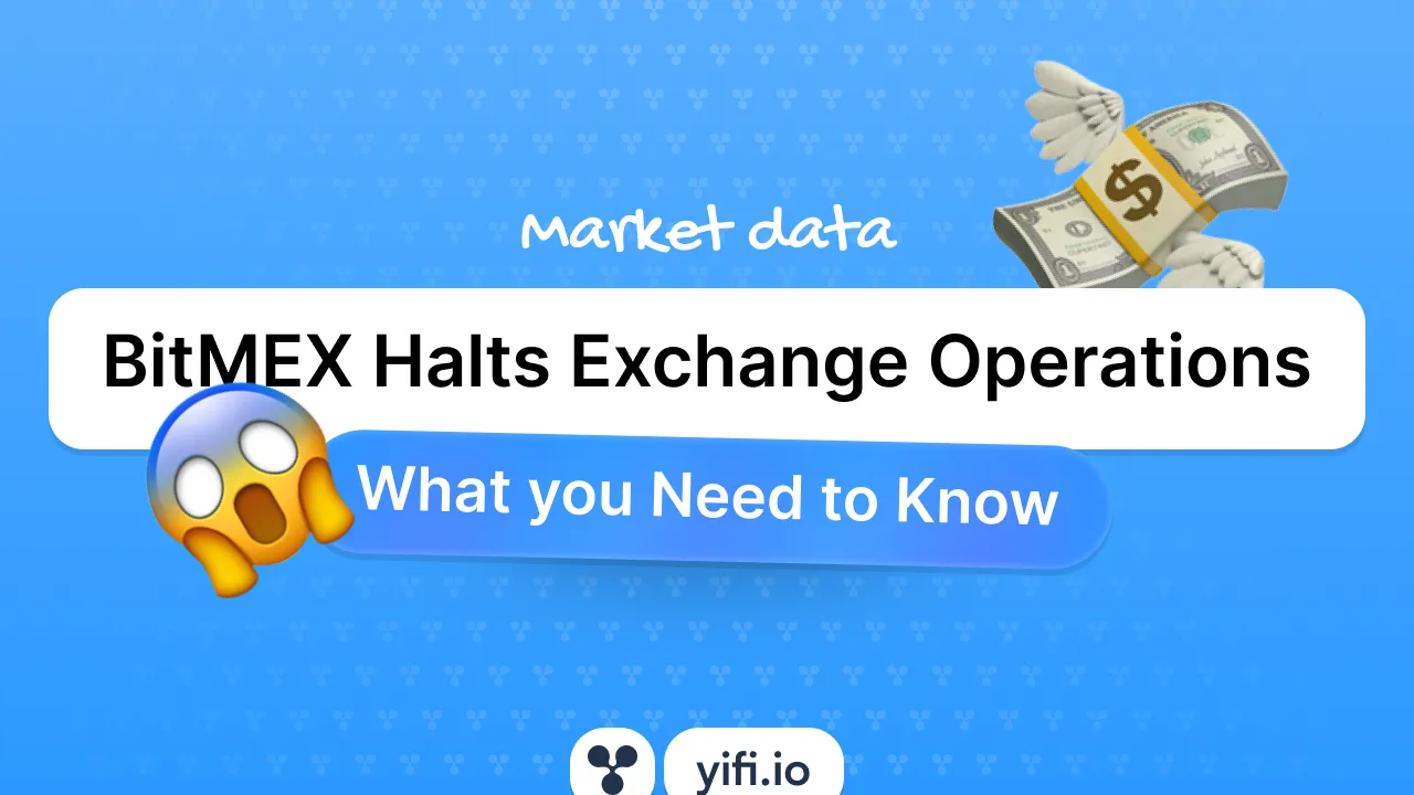 BitMEX Halts Exchange Operations: What Traders Need to Know